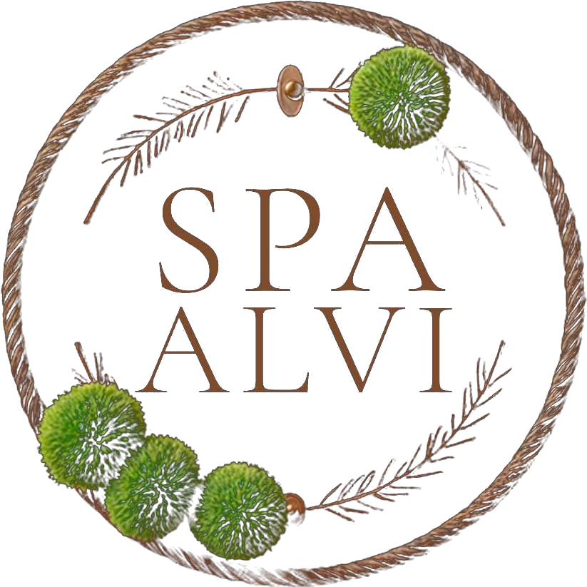 ALVI SPA